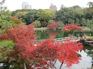 Thumbnail of post image 105