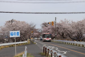 Thumbnail of post image 044