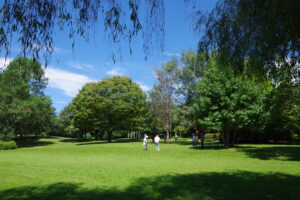 Thumbnail of post image 137