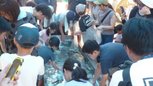 Thumbnail of post image 003