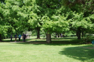 Thumbnail of post image 177