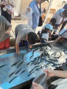 Thumbnail of post image 046