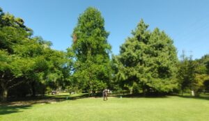 Thumbnail of post image 012